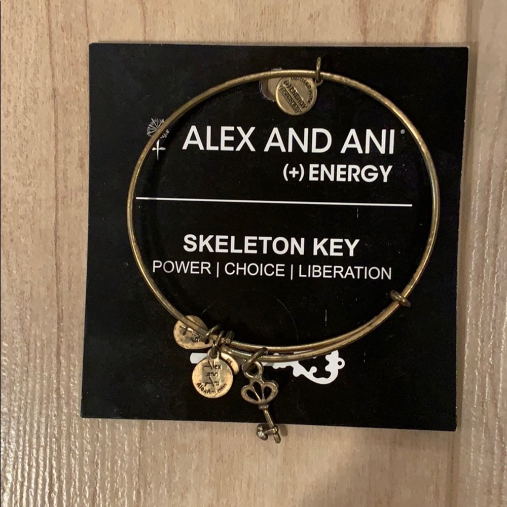 ALEX AND ANI Skeleton Key